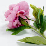 Peony Λουλουδι Τεχνητο 67cm Polyester Ροζ Πρασινο - Image 3