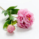 Peony Λουλουδι Τεχνητο 67cm Polyester Ροζ Πρασινο - Image 5
