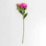 Peony Λουλουδι Τεχνητο 67cm Polyester Φουξια Πρασινο