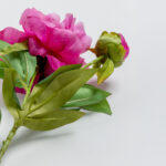 Peony Λουλουδι Τεχνητο 67cm Polyester Φουξια Πρασινο - Image 5