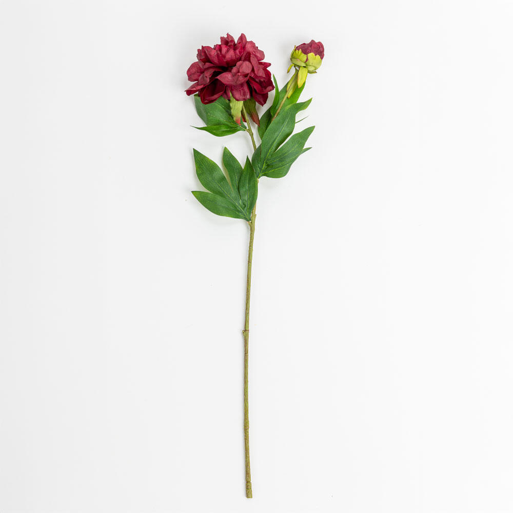 030908-eyZKl-first-_1 Peony Λουλουδι Τεχνητο 67cm Polyester Μπορντω Πρασινο - Image 1