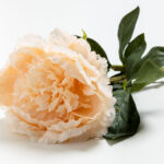 Peony Mikado Λουλουδι Τεχνητο 72cm Polyester Σομον Πρασινο - Image 2