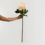 Peony Mikado Λουλουδι Τεχνητο 72cm Polyester Σομον Πρασινο - Image 3