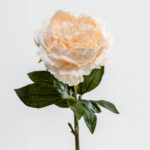Peony Mikado Λουλουδι Τεχνητο 72cm Polyester Σομον Πρασινο - Image 4