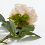 Peony Mikado Λουλουδι Τεχνητο 72cm Polyester Σομον Πρασινο - Image 5