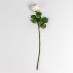 Cabbage Rose Λουλουδι Τεχνητο 66cm Polyester Λευκο Ροζ Πρασινο