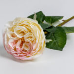 Cabbage Rose Λουλουδι Τεχνητο 66cm Polyester Λευκο Ροζ Πρασινο - Image 3