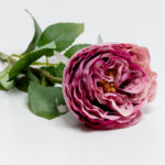 Cabbage Rose Λουλουδι Τεχνητο 66cm Polyester Ροζ Φουξια Πρασινο - Image 3