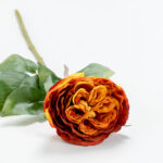 Cabbage Rose Λουλουδι Τεχνητο 66cm Polyester Terracotta Πρασινο - Image 3