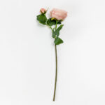 Austin Rose Λουλουδι Τεχνητο 64cm Polyester Σομον Πρασινο