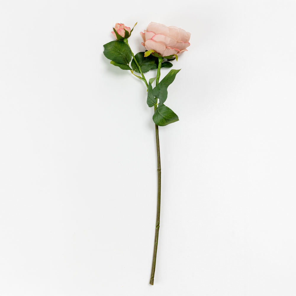 030918-BWcYa-first-_1 Austin Rose Λουλουδι Τεχνητο 64cm Polyester Σομον Πρασινο - Image 1