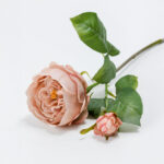Austin Rose Λουλουδι Τεχνητο 64cm Polyester Σομον Πρασινο - Image 3