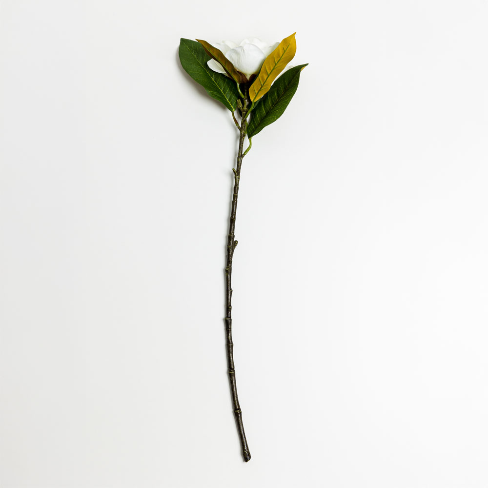 030927-L8QyA-first-_1 Magnolia Λουλουδι Τεχνητο 71cm Polyester Μπεζ Πρασινο - Image 1