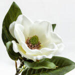 Magnolia Λουλουδι Τεχνητο 71cm Polyester Μπεζ Πρασινο - Image 2
