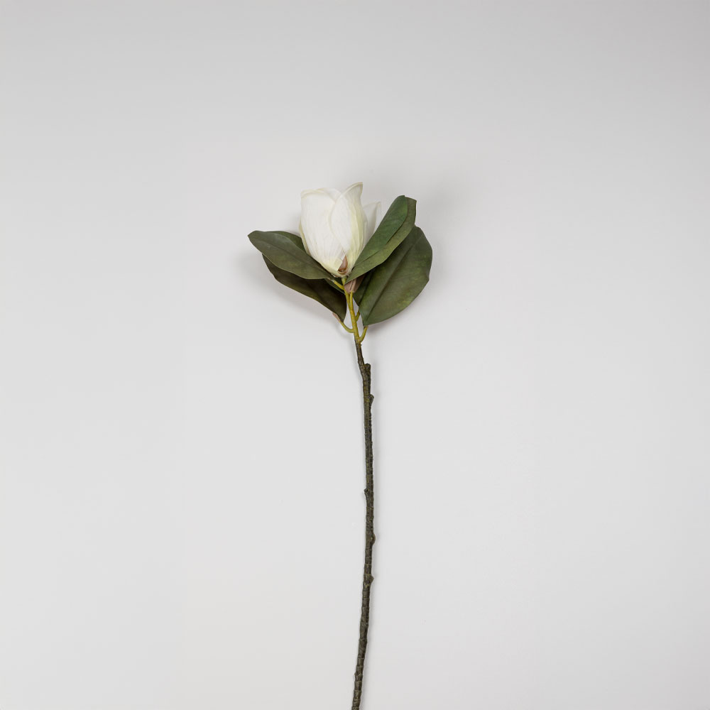 030928-3ZvpN-first-_1 Magnolia Λουλουδι Τεχνητο 71cm Polyester Μπεζ Πρασινο - Image 1