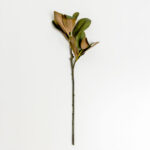 Magnolia Leaves Λουλουδι Τεχνητο 83cm Polyester Πρασινο
