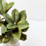 Magnolia Leaves Λουλουδι Τεχνητο 83cm Polyester Πρασινο - Image 3
