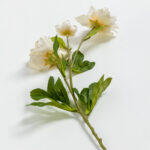 Hibiscus Λουλουδι Τεχνητο 66cm Polyester Μπεζ Πρασινο - Image 4