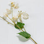 Lantern Flower Λουλουδι Τεχνητο 90cm Polyester Μπεζ Πρασινο - Image 5