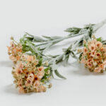 Sweet Alyssum Λουλουδι Τεχνητο 78cm Polyester Σομον Μωβ Πρασινο - Image 3