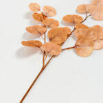 Eucalyptus Κλαδι Τεχνητο 84cm Polyester Πορτοκαλι - Image 3