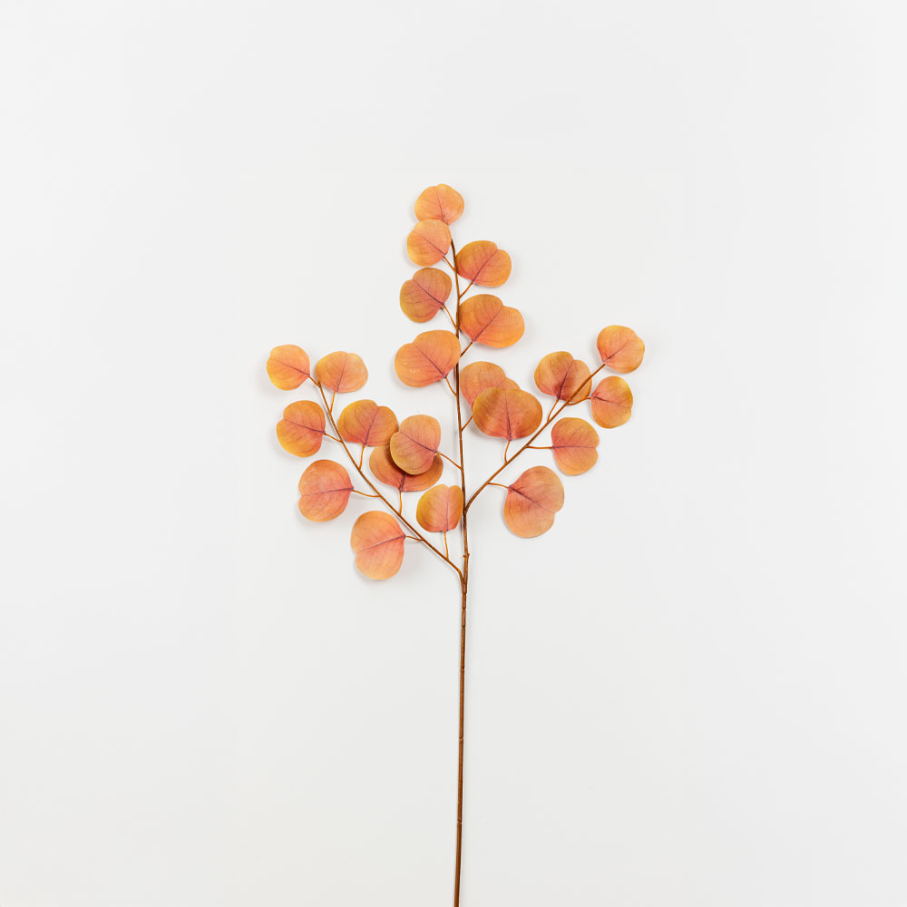030965-nYYPP-first-_1 Eucalyptus Κλαδι Τεχνητο 84cm Polyester Terracotta - Image 1