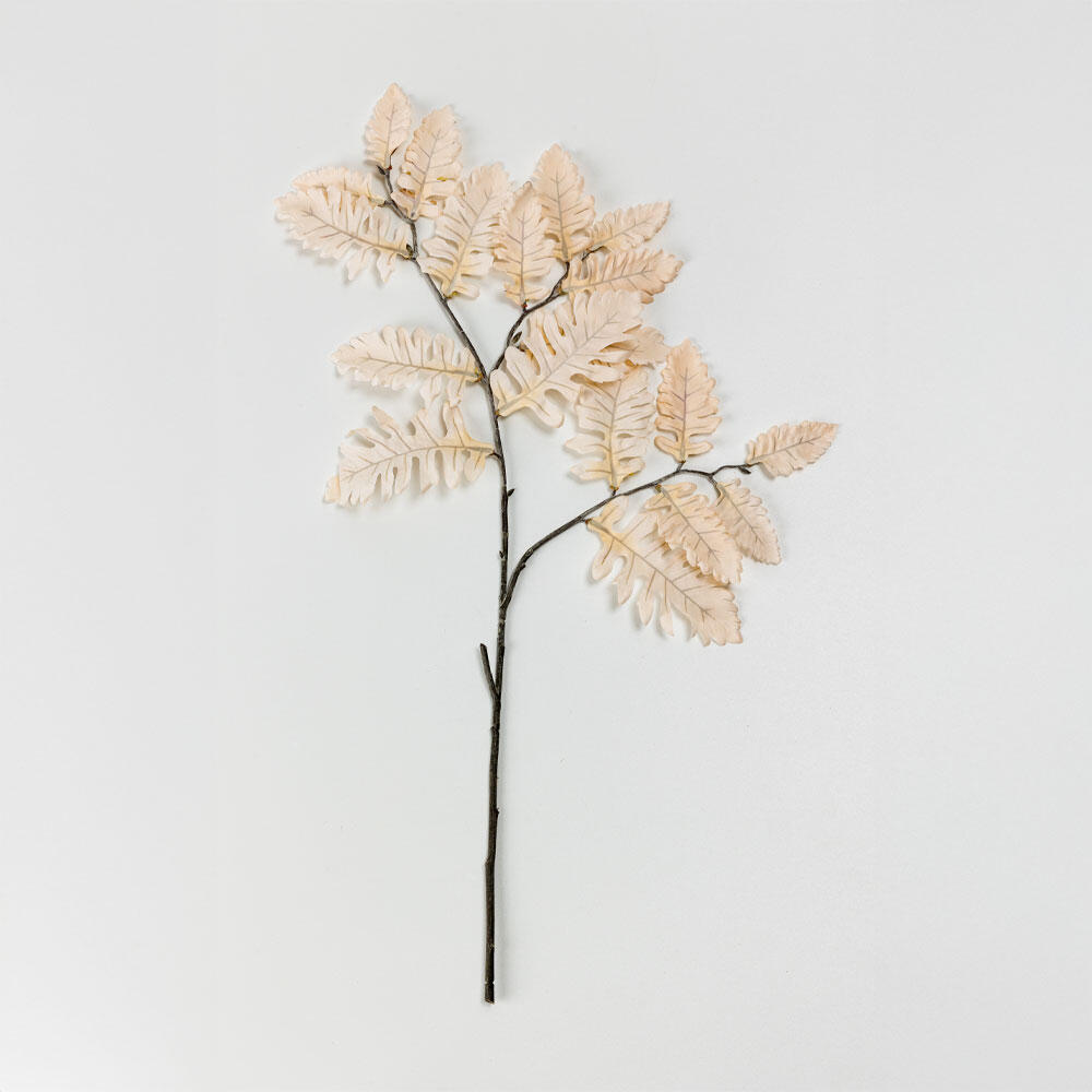 030970-ygXXP-first-_1 Cineraria Κλαδι Τεχνητο 70cm Polyester Μπεζ - Image 1
