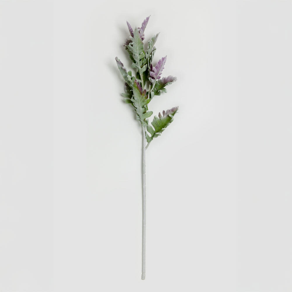030973-lVmam-first-_1 Senecio Cineraria Κλαδι Τεχνητο 76cm Polyester Πρασινο Μωβ - Image 1