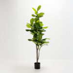 Ficus Pandurata Δεντρο Τεχνητο Σε Γλαστρα 180cm Υφασμα Πρασινο Pvc