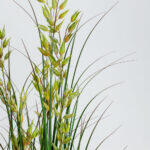 Oat Grass Φυτο Τεχνητο Σε Γλαστρα 120cm Pvc Πρασινο - Image 3