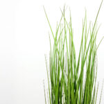 Pure Grass Φυτο Τεχνητο Σε Γλαστρα 90cm Pvc Πρασινο - Image 3