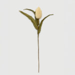 Aroma Essence Λουλουδι Τεχνητο 64cm Foam Μπεζ Πρασινο Pvc