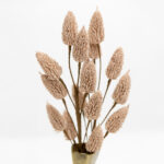 Aroma Blossoms Λουλουδι Τεχνητο 63cm Foam Καφε Pvc - Image 2
