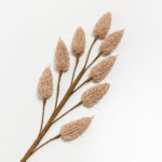 Aroma Blossoms Λουλουδι Τεχνητο 63cm Foam Καφε Pvc - Image 3