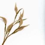 Aroma Blossoms Λουλουδι Τεχνητο 80cm Foam Καφε Πρασινο Pvc - Image 3