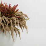Aroma Blossoms Λουλουδι Τεχνητο 80cm Foam Καφε Πρασινο Pvc - Image 4