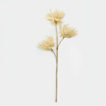 Aroma Delights Λουλουδι Τεχνητο 70cm Foam Κρεμ Pvc