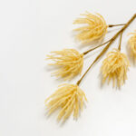 Aroma Delights Λουλουδι Τεχνητο 70cm Foam Κρεμ Pvc - Image 4
