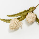 Aroma Delights Λουλουδι Τεχνητο 70cm Foam Κρεμ Πρασινο Pvc - Image 3