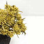 Aroma Blooms Λουλουδι Τεχνητο 57cm Foam Κιτρινο Pvc - Image 2