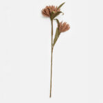 Aroma Bliss Λουλουδι Τεχνητο 57cm Foam Ροζ Πρασινο Pvc