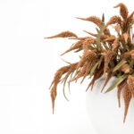 Aroma Bliss Λουλουδι Τεχνητο 80cm Foam Ροζ Πρασινο Pvc - Image 2
