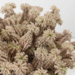 Aroma Bliss Λουλουδι Τεχνητο 23cm Foam Ροζ Pvc - Image 4