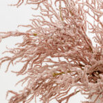 Aroma Bliss Κλαδι Τεχνητο 75cm Foam Ροζ Pvc - Image 3