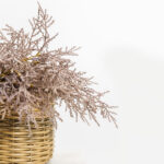 Aroma Paradise Κλαδι Τεχνητο 72cm Foam Κοραλλι Pvc - Image 2