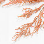 Aroma Petals Κλαδι Τεχνητο 75cm Foam Ροδακινι Pvc - Image 4
