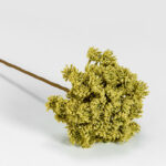 Aroma Wishper Λουλουδι Τεχνητο 60cm Foam Πρασινο Pvc - Image 2