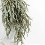 Eucalyptus Blooms Κλαδι Τεχνητο 90cm Foam Πρασινο - Image 4