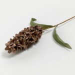 Nature Elegance Λουλουδι Τεχνητο 67cm Foam Καφε Πρασινο - Image 4