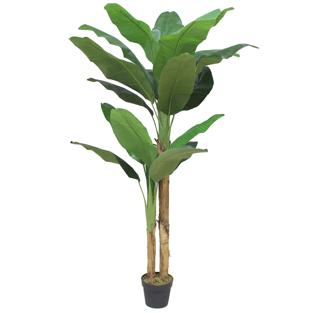 032201-nxwoo-first-_1 Banana Δεντρο Τεχνητο Σε Γλαστρα 180cm Peva Πρασινο - Image 1